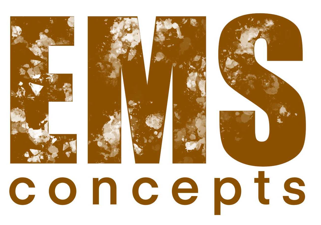 BZS EMS Concepts GmbH
